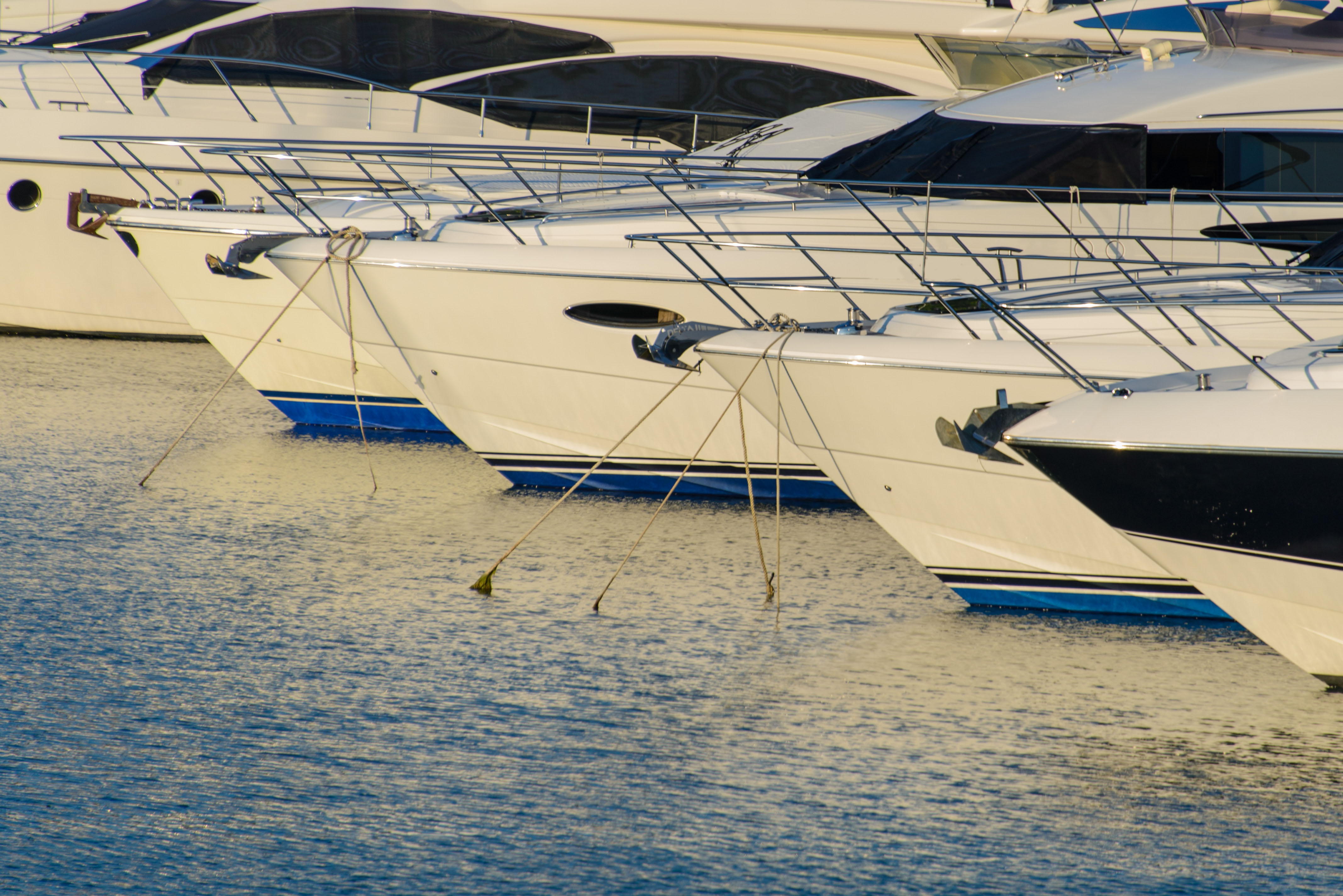 Weekly Private Charter